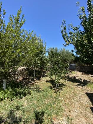 Crete Heraklion Peza. For sale a stone-built traditional house of 140 sqm on a plot of 780 sqm within the settlement with unobstructed views